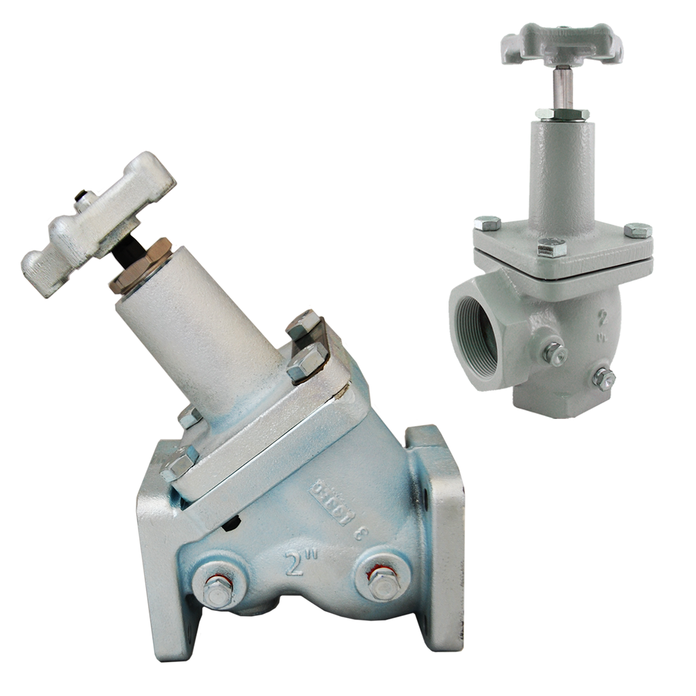 Globe and Angle Valves